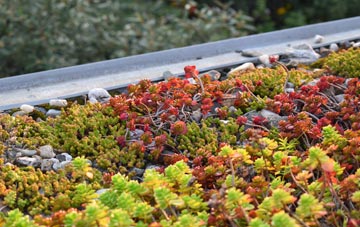 the cost of Anchor Corner green roof installation