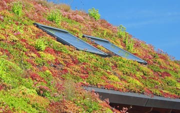 Anchor Corner living roof systems