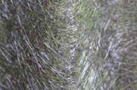 Anchor Corner fibreglass roof work